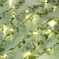 Enchanted Ivy Fairy Lights